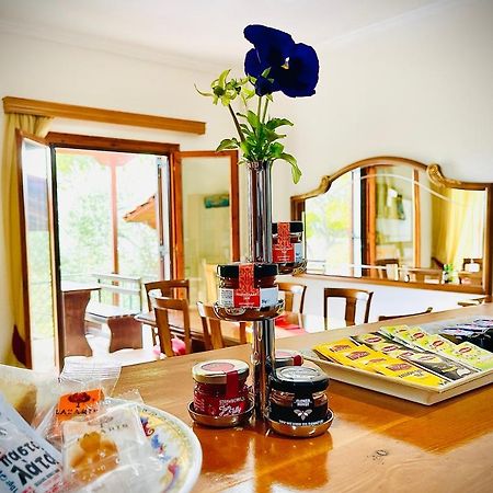 Villa Evita Corfu ダシア エクステリア 写真